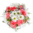 This bouquet, radiating with spring's optimism, is arranged to capture the essence of joy and renewal in Old Malden. At its center, crisp white daisies glow with golden-green eyes, surrounded by plush coral-pink carnations whose layered petals add volume and complexity, much like the lively tulip beds of Manor Park. Clusters of cloud-like gypsophila scatter light and softness across the bouquet, their small white blossoms resembling scattered stars on a dewy morning. Eucalyptus sprigs and hints of budding alstroemeria offer muted green and blush undertones that blend harmoniously, infusing the bouquet with gentle scent and local authenticity. The design channels the care and attention of Old Malden florists, making it perfectly suited for congratulating a friend, honouring a beloved family member, or sending warmth across the area. The palette and form evoke a quiet celebration-a thoughtful gift for any special occasion or for brightening an ordinary day, with every detail lovingly reflective of the neighbourhood's peaceful beauty and cheerful heart.